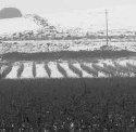 www.wine-up.es, primera consultora comercial y marketing especializada en el sector vitivinicola de Castilla La Mancha