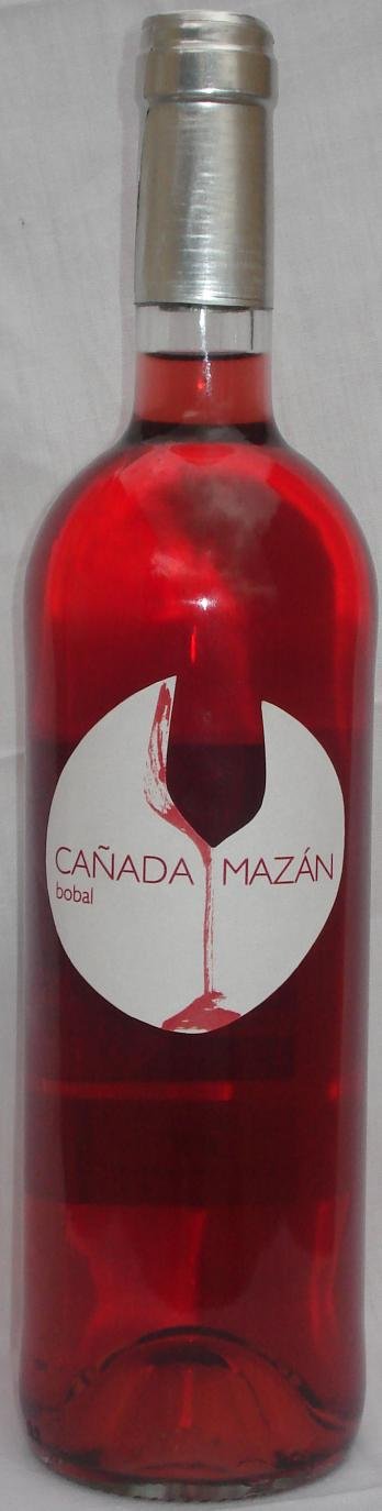 CAÑADA MAZAN BOBAL (español)_2008