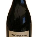 BSVA-PAGO-DEL-AMA BSVA-PAGO-DEL-AMA