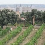 IMG_5036 - copia IMG_5036 - copia