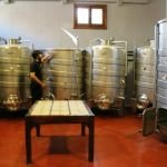 IMG_5065 - copia En éstos depósitos se elaboran sus vinos