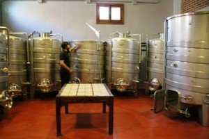 IMG_5065 - copia En éstos depósitos se elaboran sus vinos