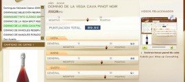 DOMINIO DE LA VEGA BRUT NATURE GRAN RESERVA PINOT NOIR 2008 - 89.92 PUNTOS EN WWW.ECATAS.COM POR JOAQUIN PARRA WINE UP