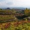 Rutas del vino en españa