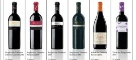 Bodegas Valdemar cierra el 2011 con una cosecha de reconocimientos Guia peñin