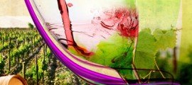 Es bueno este…vino tinto crianza?: Pautas y consejos para elegir un vino tinto crianza Manual de cata ¿es bueno este vino?