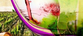 Es bueno este…vino tinto crianza?: Pautas y consejos para elegir un vino tinto crianza Manual de cata ¿es bueno este vino?