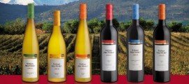Viñas del Vero presenta su nueva serie Colección Nueva colección Viñas del Vero