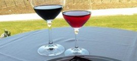 Vino y chocolate en Pagos de Aráiz