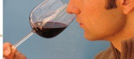 LOS VINOS DE LA D.O. UTIEL-REQUENA SE ALZAN CON SIETE PREMIOS DE LA CATA “ELS BODEGUERS” PREMIOS ELS BODEGUERS