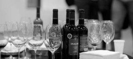 BODEGAS IRACHE PATROCINA LA EXPOSICIÓN ARTISTICA SOBRE LA PELÍCULA -EL ANGEL ENTRE LA NIEBLA- Vinos de Bodegas Irache