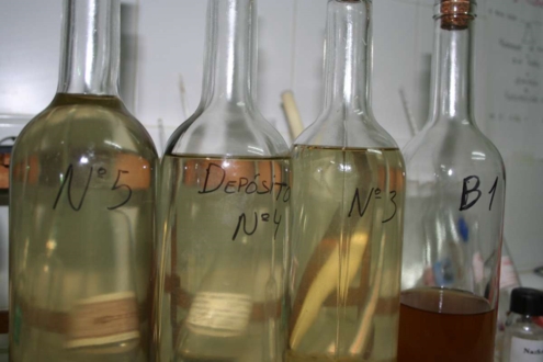muestras de vino recien fermentado