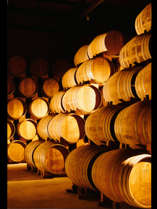 TORRES-Nave envejecimiento de brandy en Sant Martí Sarroca, Penedès